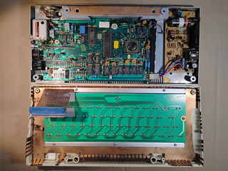 DotoliJeonja Repairs